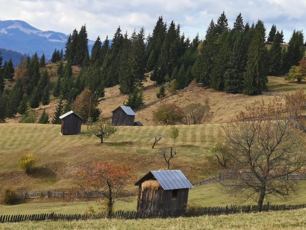 Pensiunea Agroturistica Casa Colinita Vatra Moldovitei Exterior photo